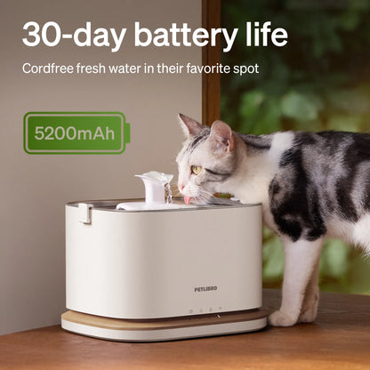 PETLIBRO Granary Smart Camera Feeder & Dockstream 2 Cordless Smart Fountain